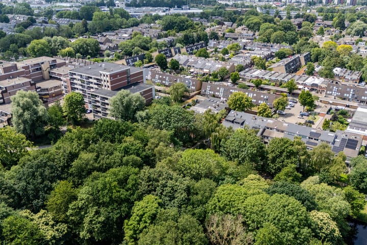 Foto 5 van Platschelpenbank 2