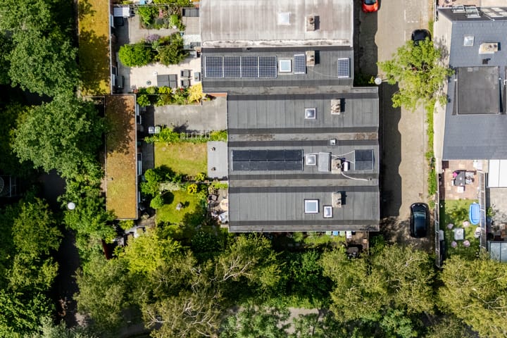 Foto 6 van Platschelpenbank 2