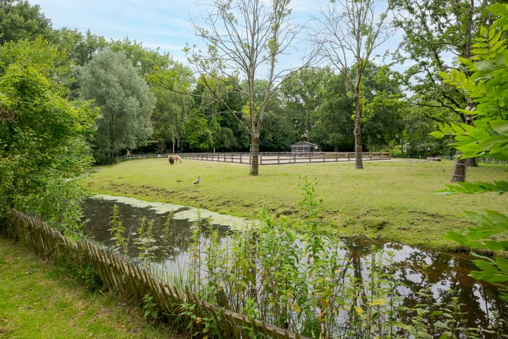 Foto 34 van Platschelpenbank 2