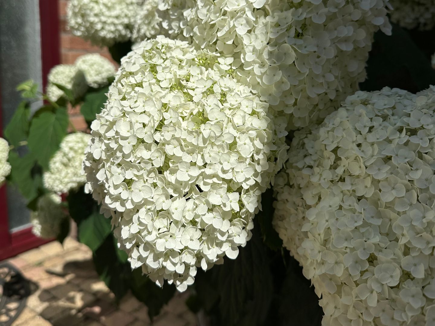 Foto 4 van Abraham Kuyperstraat 4