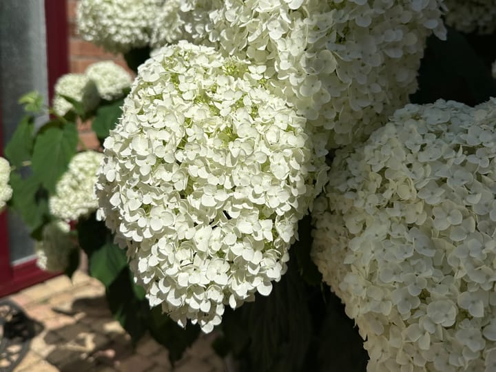 Foto 4 van Abraham Kuyperstraat 4