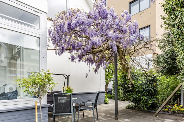 Photo 61 of Iepenlaan 19