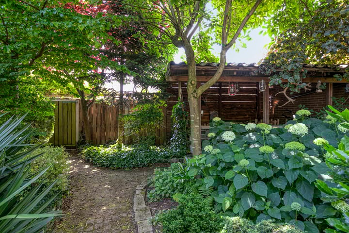 Foto 41 van Hoogstraat 277