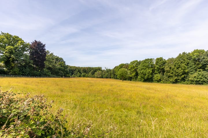 Foto 35 van Zandweg 111