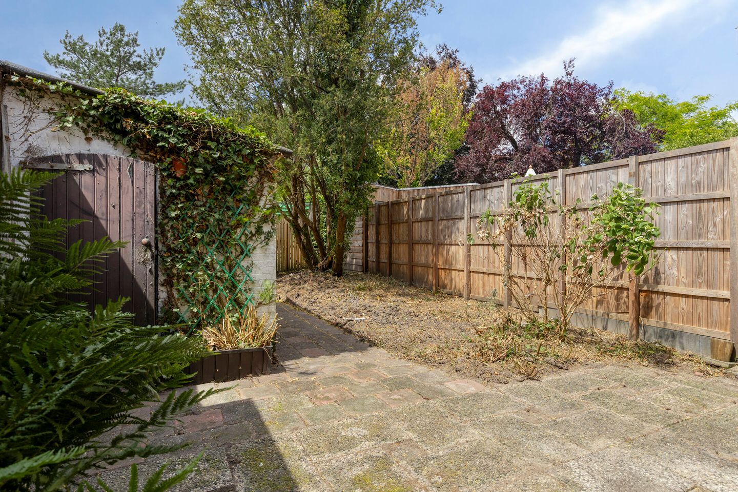 Foto 19 van Bernhardstraat 14