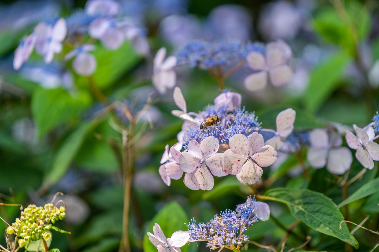 Foto 59 van Bleijendaalseweg 7