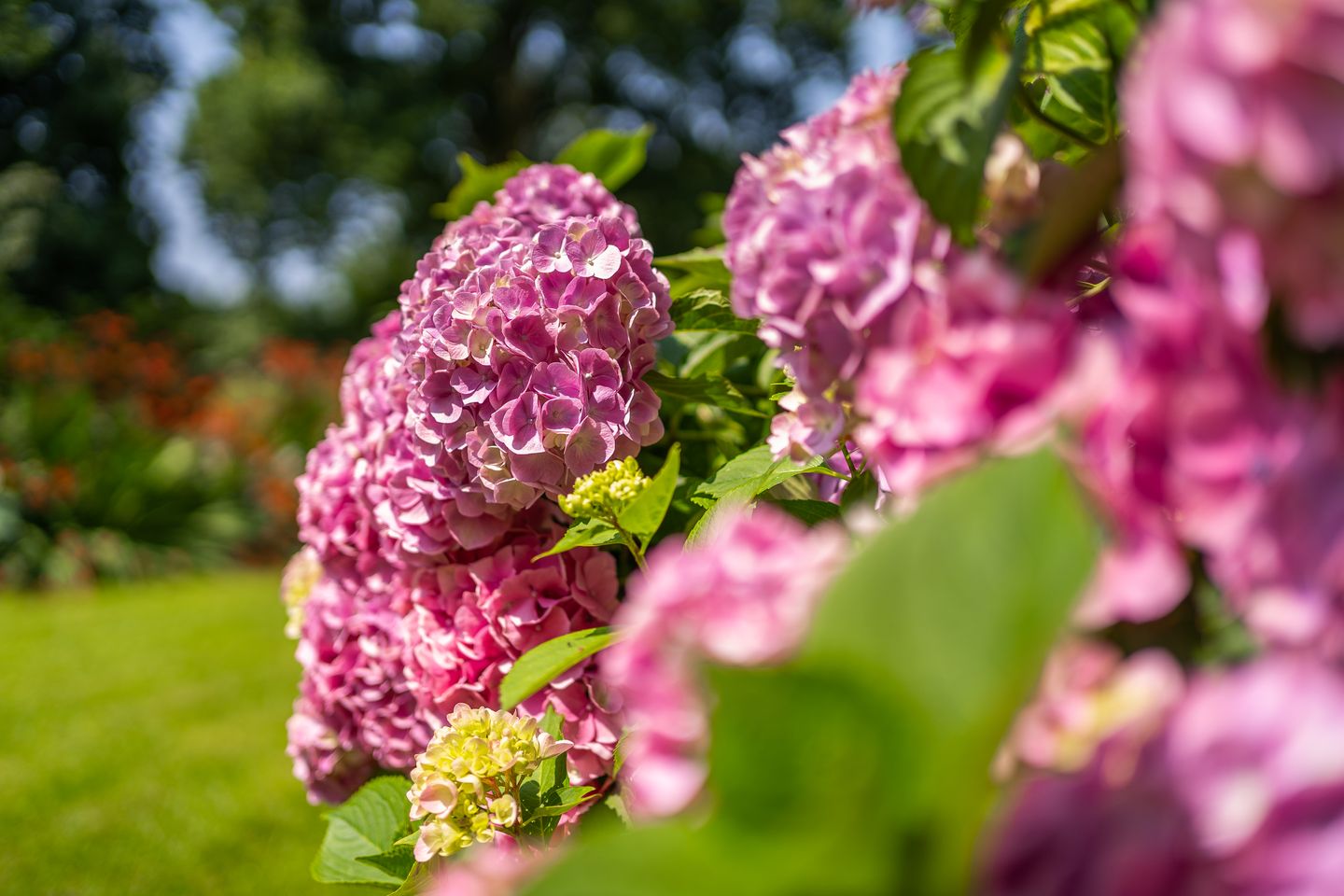 Foto 55 van Bleijendaalseweg 7