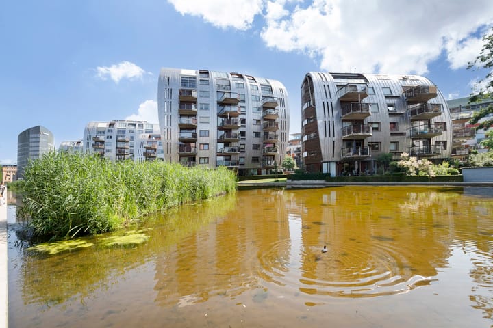 Foto 30 van Bordeslaan 233