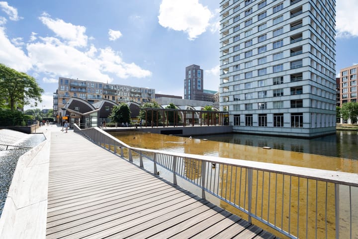 Foto 29 van Bordeslaan 233