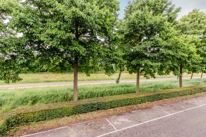 Foto 43 van Oesterdam 7