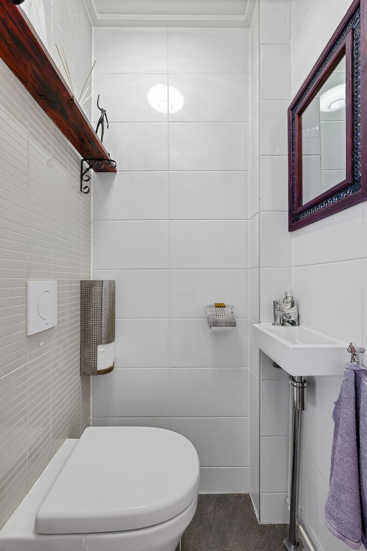 Foto 16 van Boarskulp 16