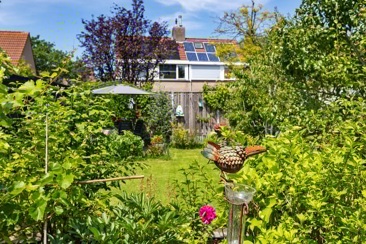 Foto 27 van Boarskulp 16