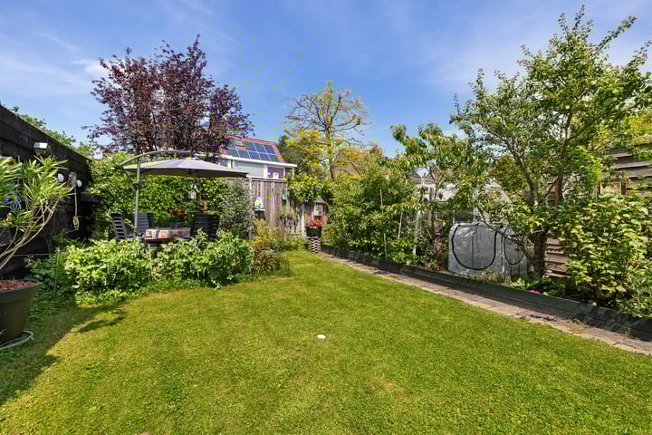 Foto 28 van Boarskulp 16