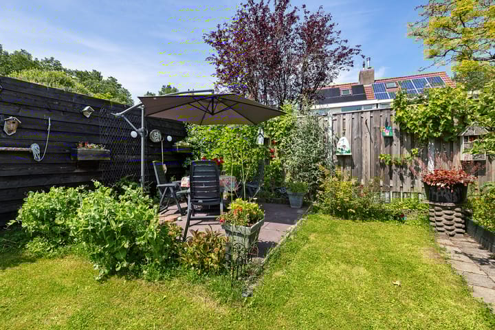 Foto 29 van Boarskulp 16