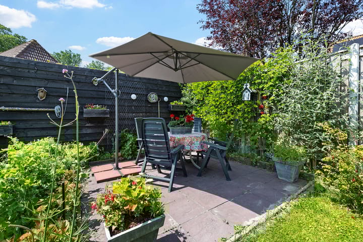 Foto 30 van Boarskulp 16