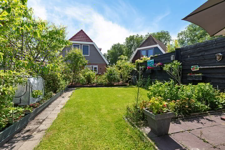 Foto 31 van Boarskulp 16