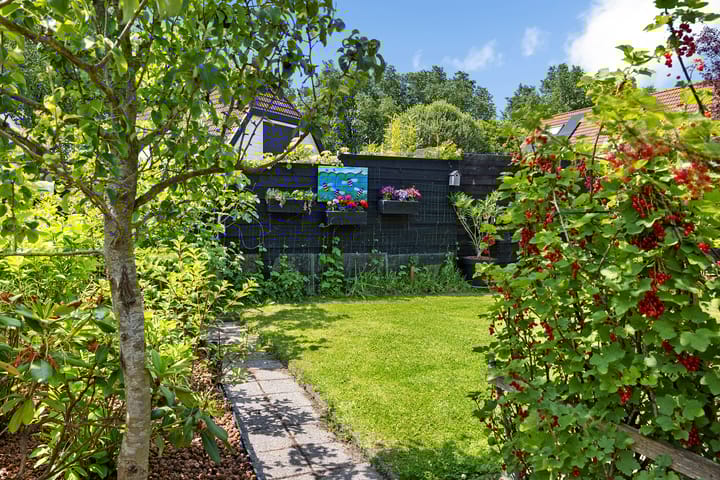 Foto 32 van Boarskulp 16