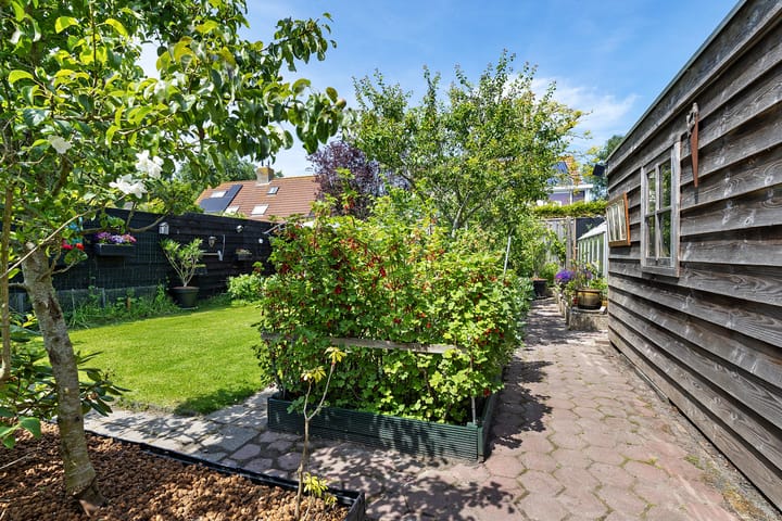 Foto 33 van Boarskulp 16