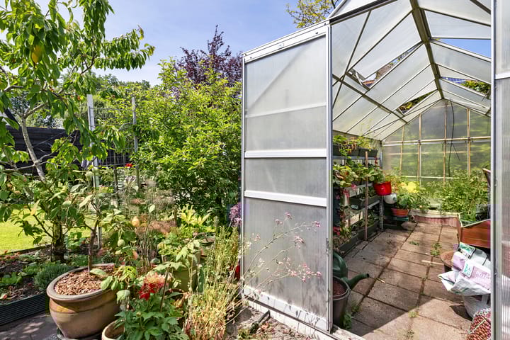 Foto 34 van Boarskulp 16