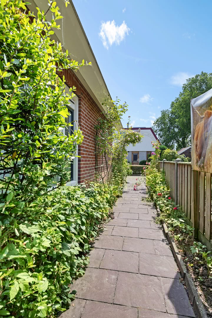 Foto 37 van Boarskulp 16