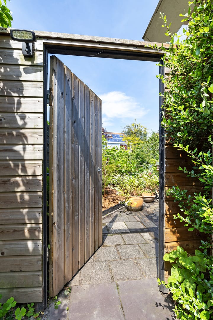 Foto 38 van Boarskulp 16