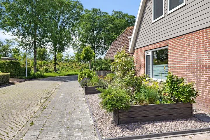 Foto 41 van Boarskulp 16