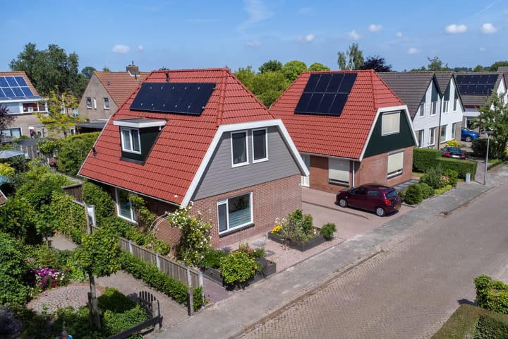 Foto 45 van Boarskulp 16