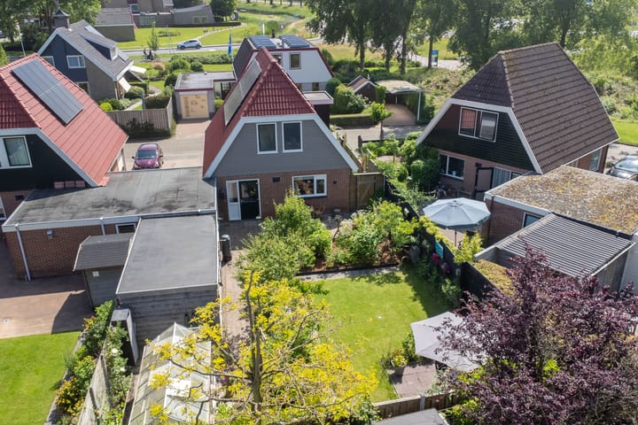 Foto 47 van Boarskulp 16