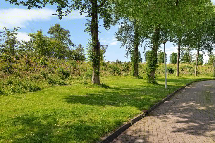 Foto 49 van Boarskulp 16