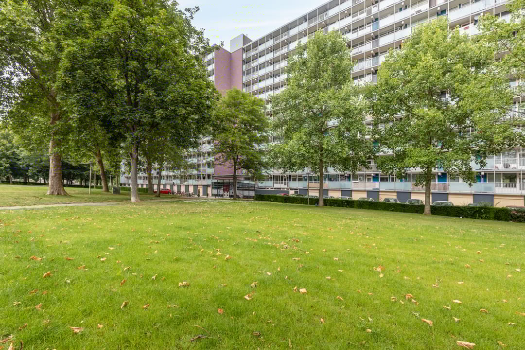 Foto 1 van Eisenhowerstraat 390