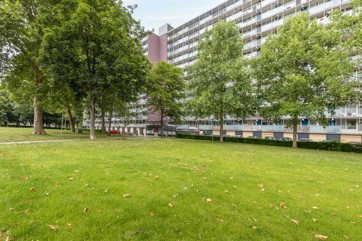 Foto 1 van Eisenhowerstraat 390