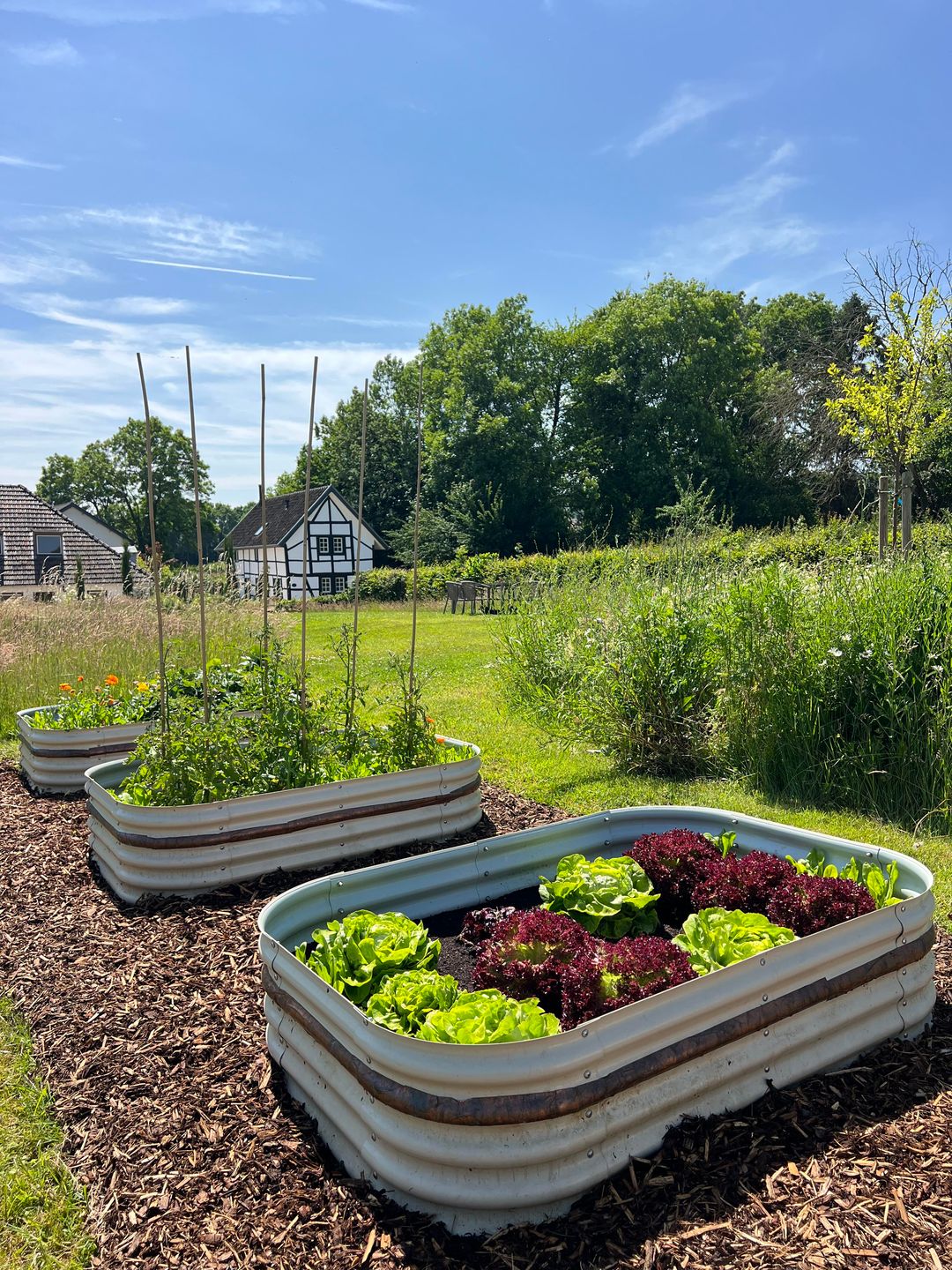 Foto 76 van Molenweg 3