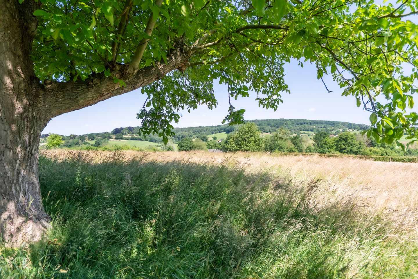 Foto 80 van Molenweg 3