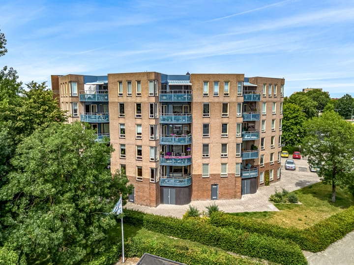 Foto 2 van Grote Beer 12