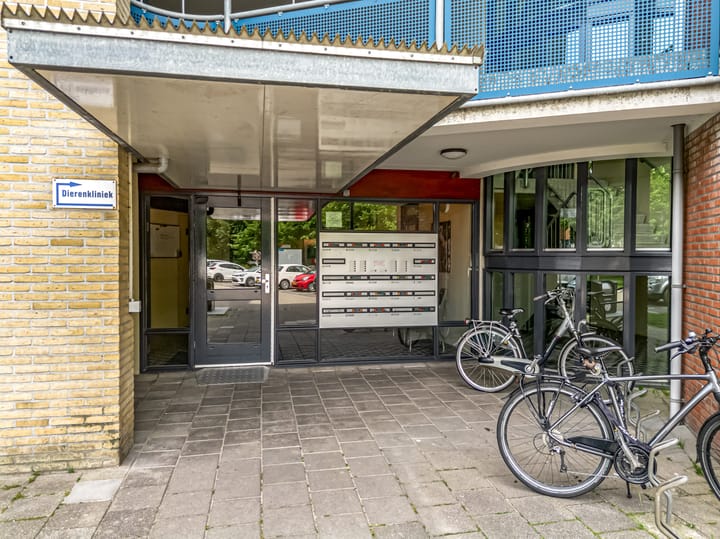 Foto 3 van Grote Beer 12