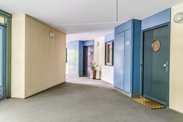 Foto 6 van Grote Beer 12