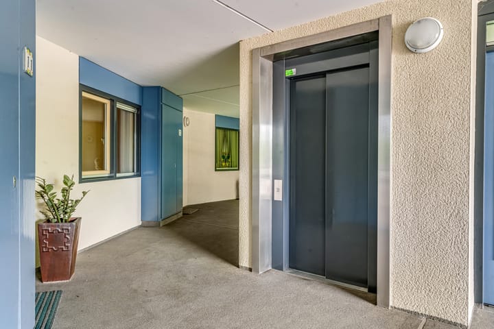 Foto 7 van Grote Beer 12