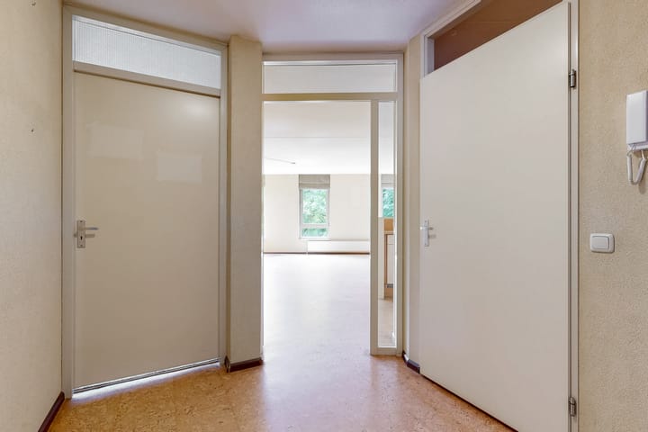 Foto 8 van Grote Beer 12