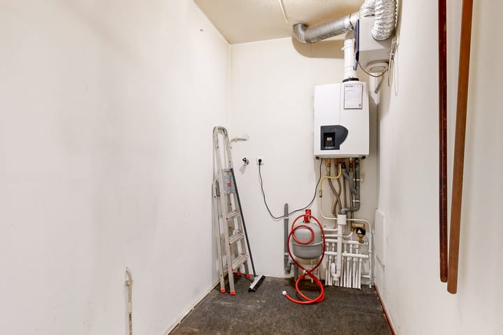 Foto 10 van Grote Beer 12