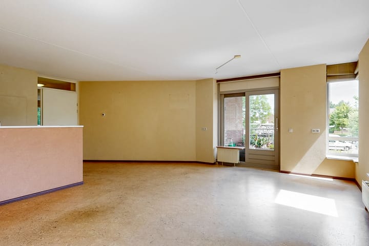 Foto 12 van Grote Beer 12