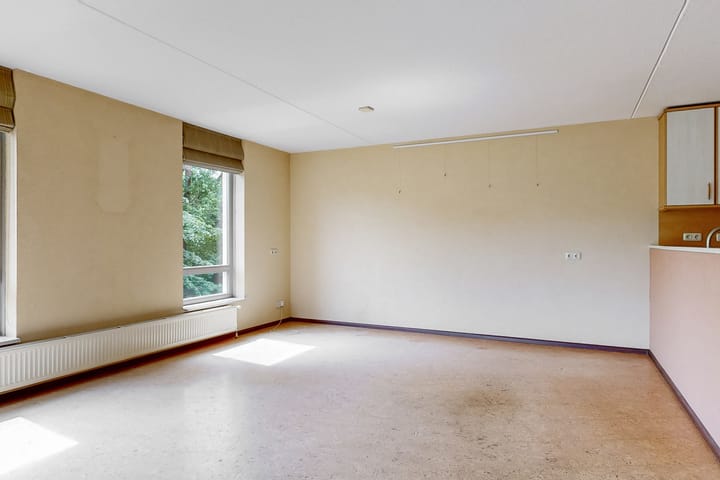 Foto 14 van Grote Beer 12