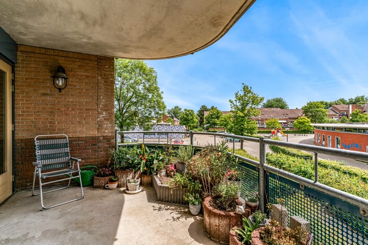 Foto 24 van Grote Beer 12