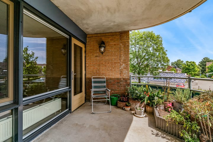 Foto 25 van Grote Beer 12