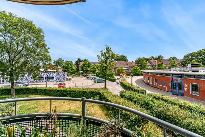 Foto 23 van Grote Beer 12