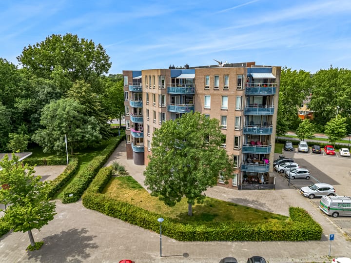 Foto 28 van Grote Beer 12