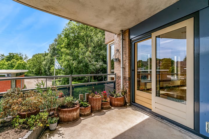 Foto 26 van Grote Beer 12