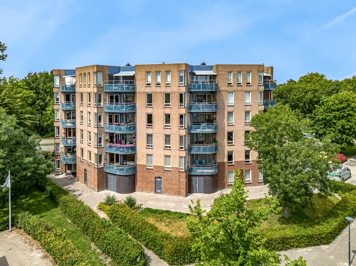 Foto 29 van Grote Beer 12