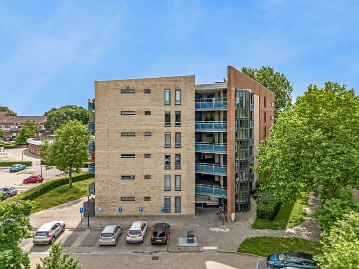 Foto 30 van Grote Beer 12