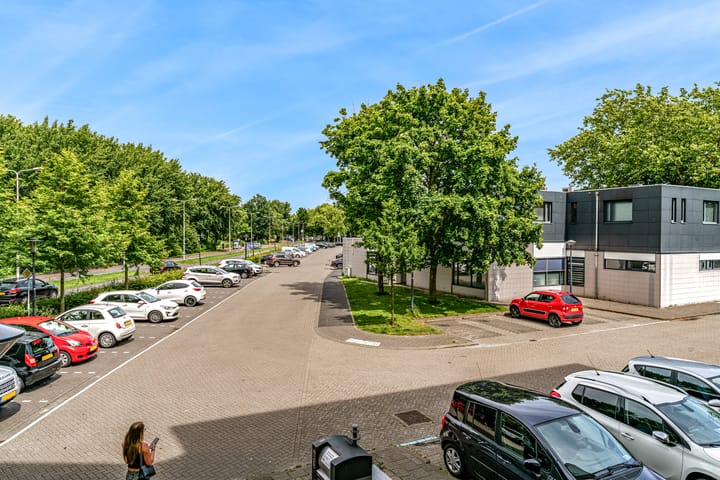 Foto 31 van Grote Beer 12