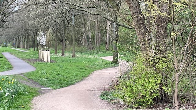 Photo 37 of Hoflaan 25